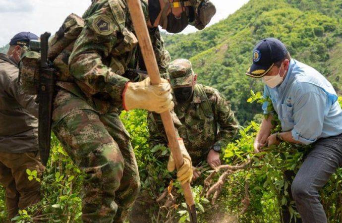 ¿Quién manda en Colombia?