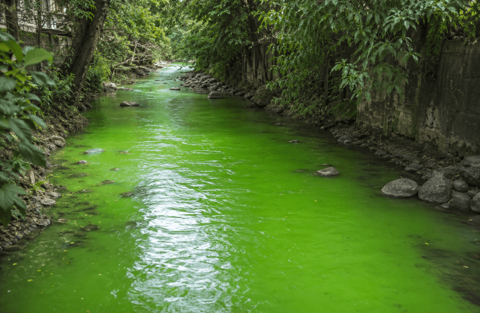 Alerta ambiental en Itagüí por extraña coloración verde en la quebrada Doña María