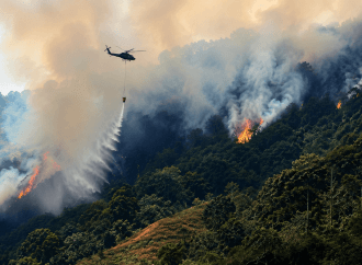 Incendios forestales en Antioquia: cuatro permanecen activos y reciben apoyo aéreo