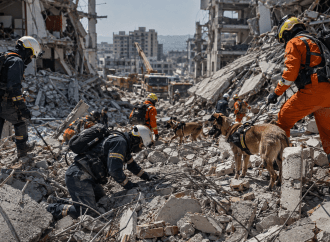 Terremoto: extienden hasta el sábado la búsqueda de sobrevivientes