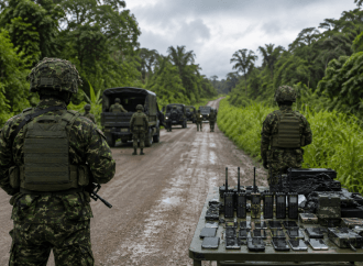 Muere alias Momo en operativo militar contra el Clan del Golfo en El Bagre