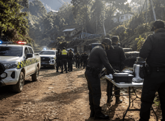 Capturados en operativo contra ‘El Ajizal’