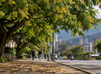¿Por qué Medellín huele a “pecueca” estos días?